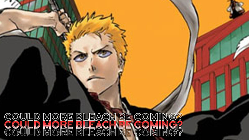 Could We Get More Bleach After Thousand Year Blood War
