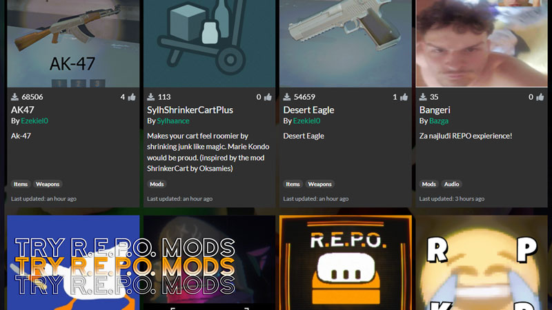 Try REPO Mods from Thunderstore